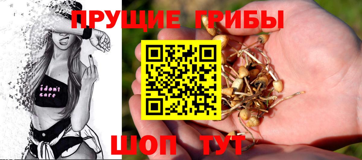 что такое наркотик  Вход с VPN  Всеволожск  Галлюциногенные грибы MAGIC MUSHROOMS  Галлюциногенные грибы Magic Shrooms 
